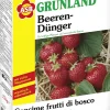 ASB Greenworld Spezial-Beerendünger 2,5 kg