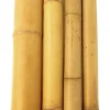 Bambusrohr 180 cm Ø 4/5 cm