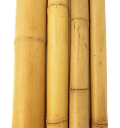 Bambusrohr 180 cm Ø 10/12 cm