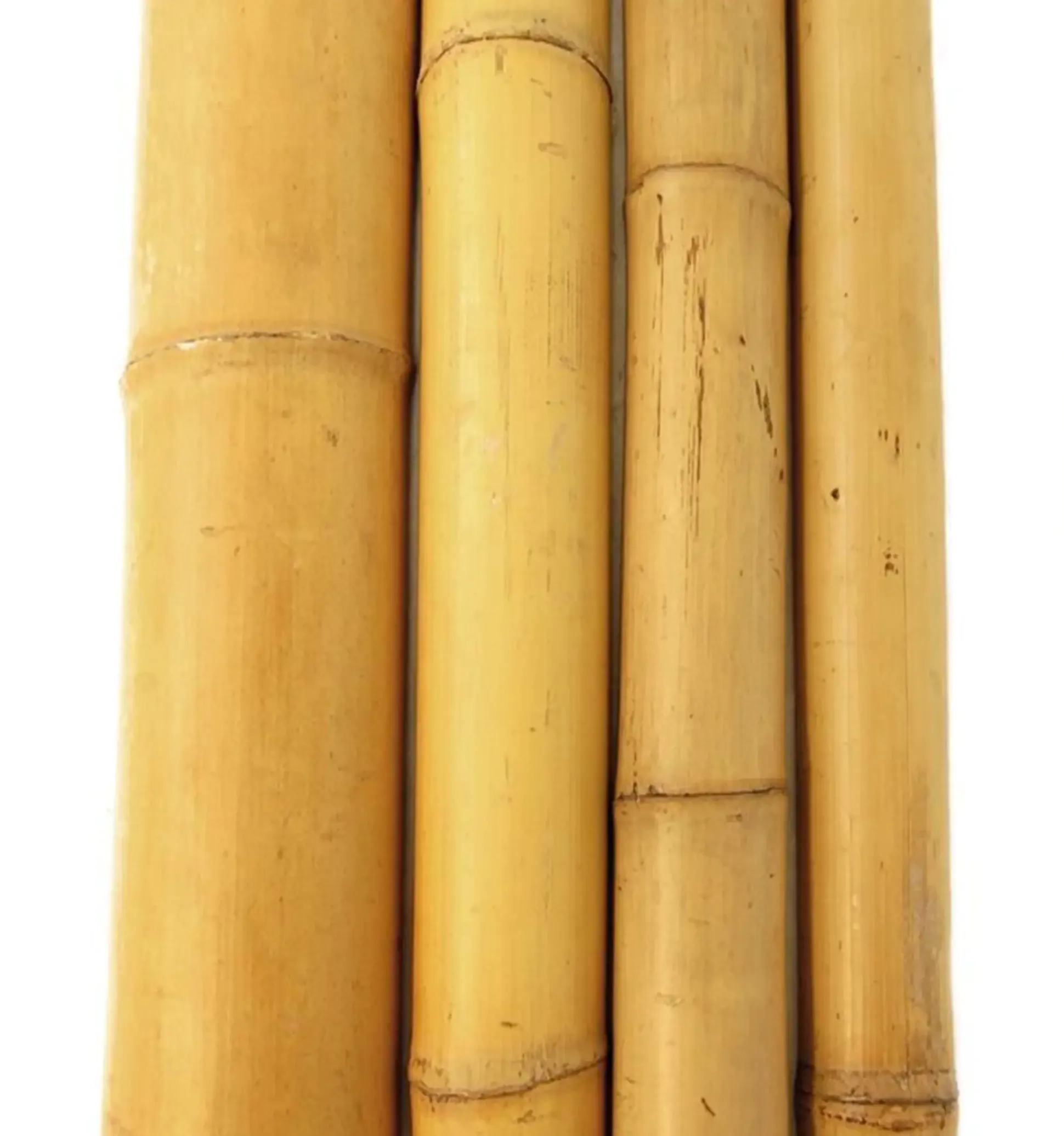 Bambusrohr 180 cm Ø 10/12 cm