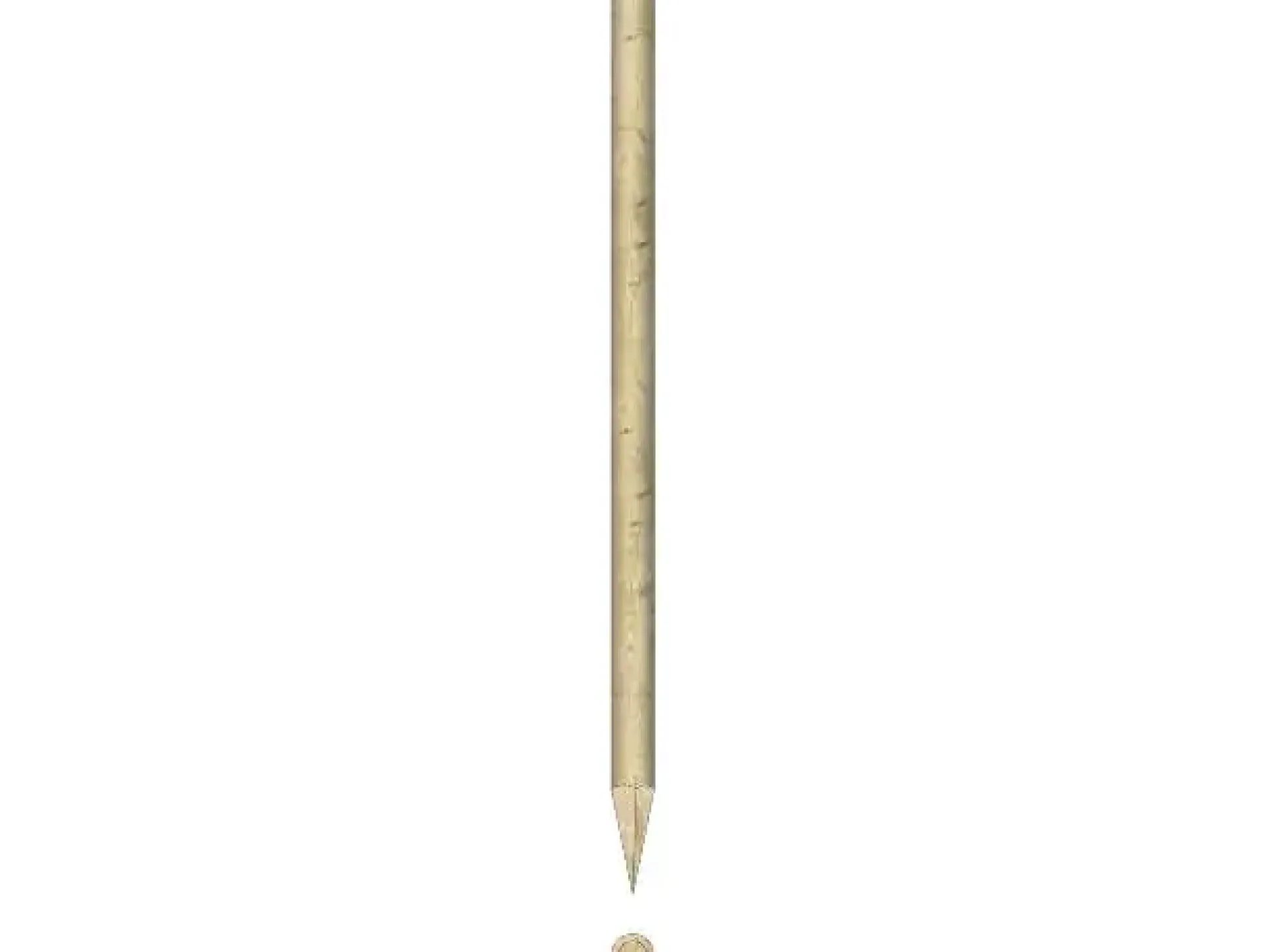 Baumpfahl 50 cm, Ø 6 cm, kesseldruckimprägniert