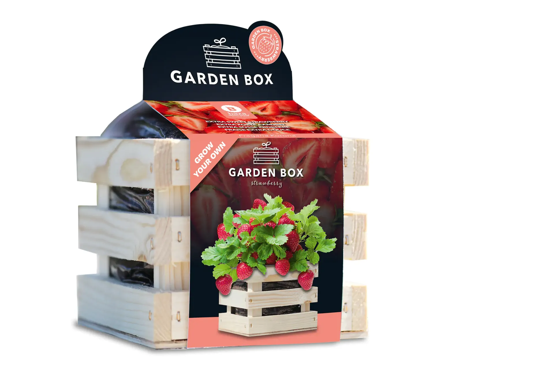 Baza Seeds Garden Box extra süße Erdbeere