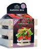 Baza Seeds Garden Box riesige Erdbeere