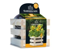 Baza Seeds Garden Box Strauchtomate Tumbling Tom gelb