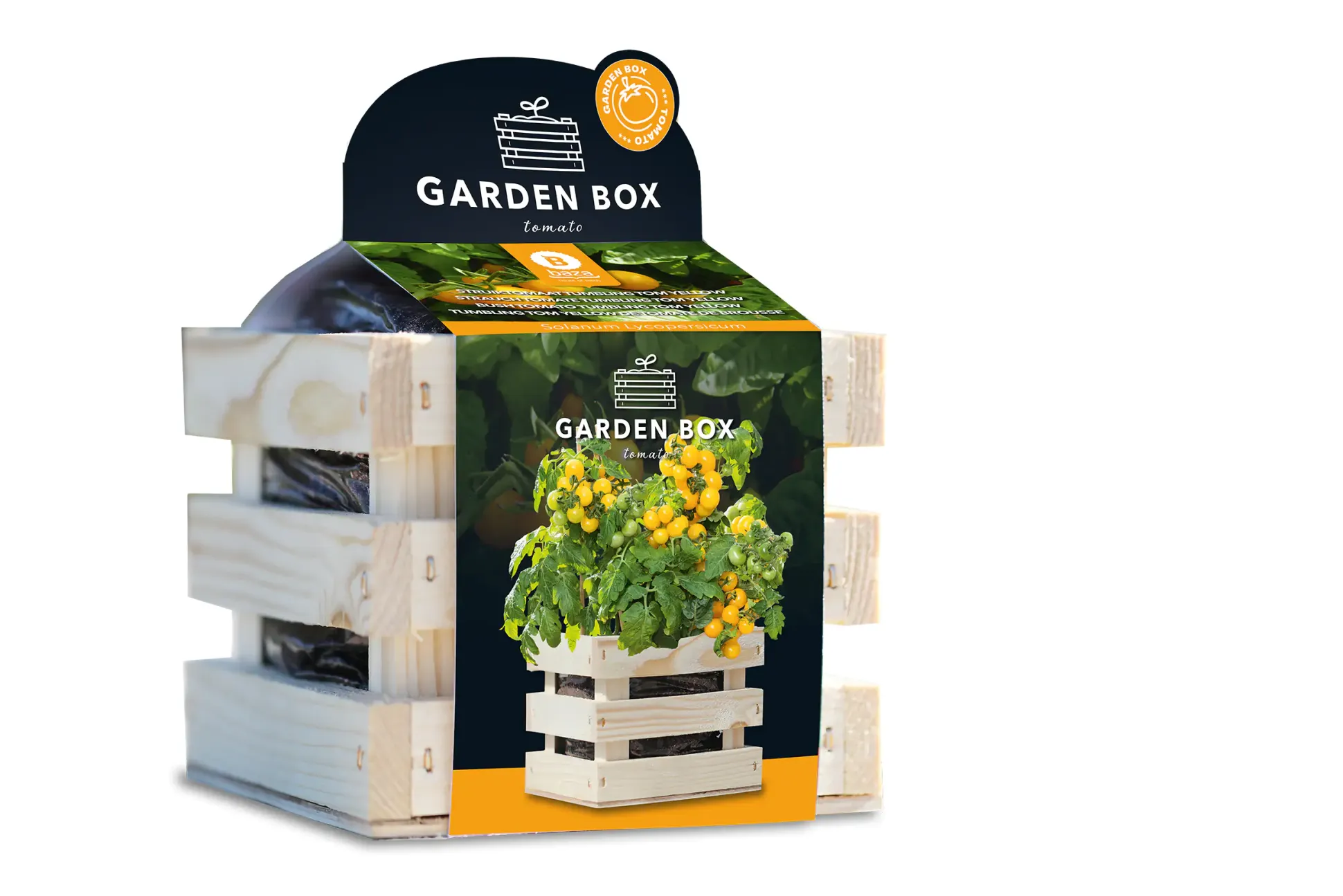 Baza Seeds Garden Box Strauchtomate Tumbling Tom gelb