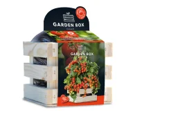 Baza Seeds Garden Box Strauchtomate Heartbreakers Vita F1