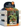 Baza Seeds Garden Box Strauchtomate Bio Koralik