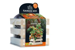Baza Seeds Garden Box Strauchtomate Bio Koralik