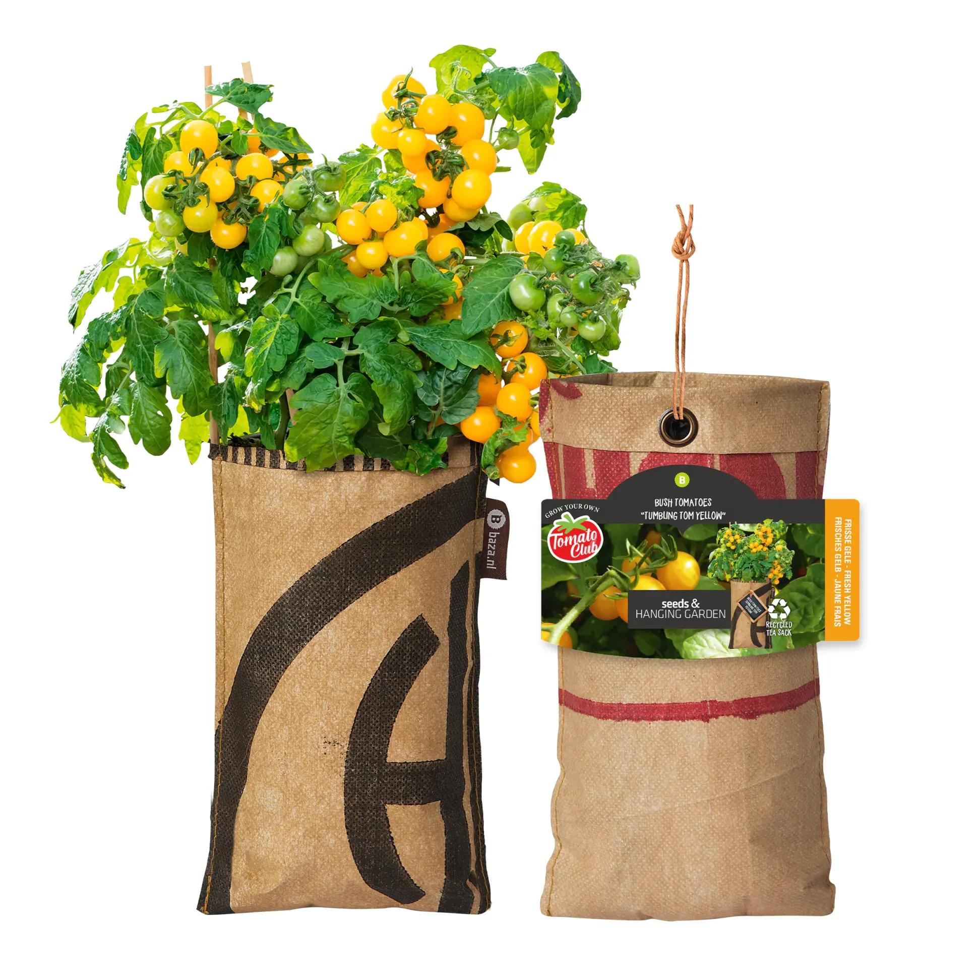 Baza Seeds hängender Garten Strauchtomate Tumbling Tom Yellow