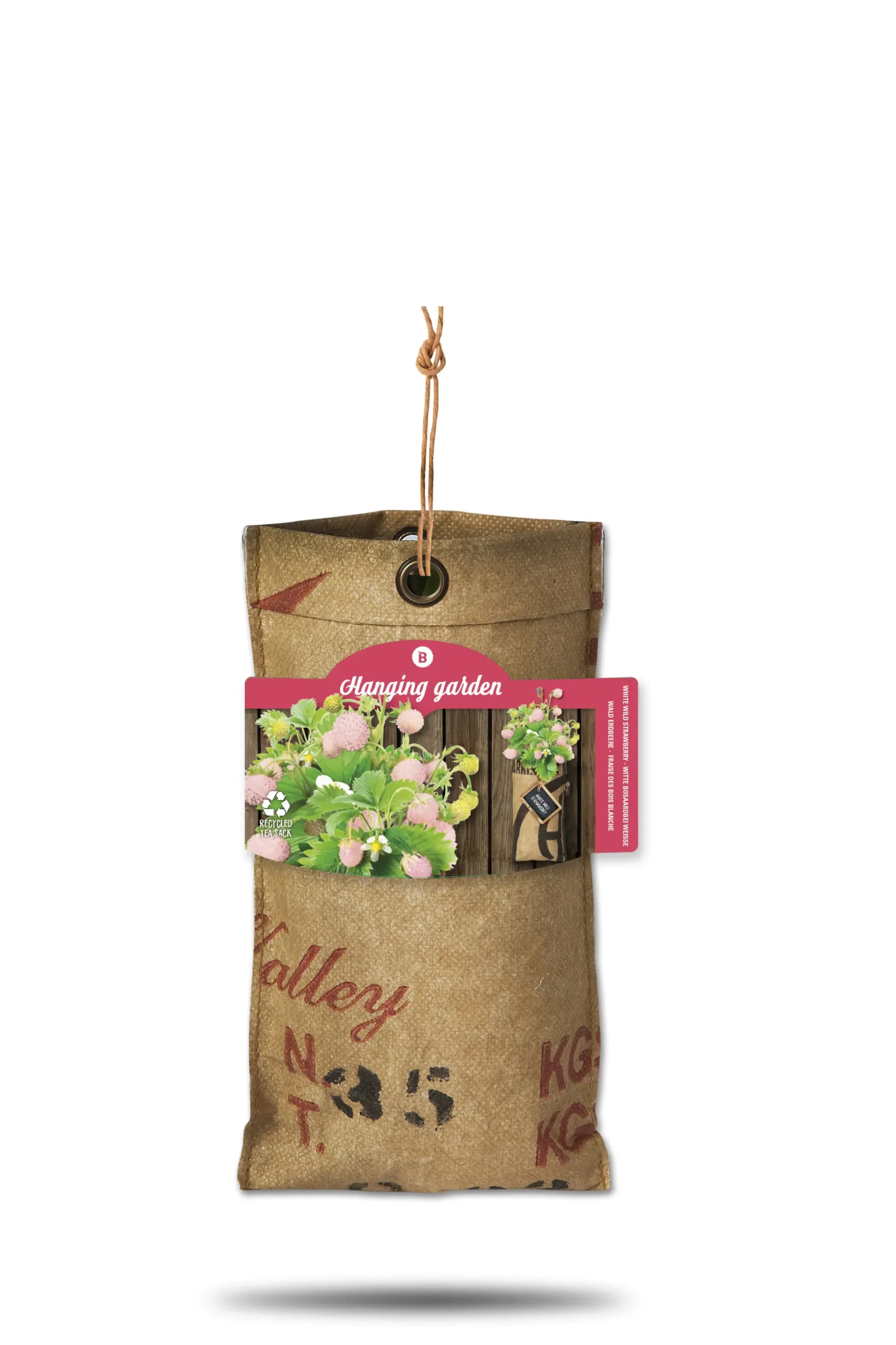 Baza Seeds hängender Garten Walderdbeere weiß