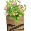 Baza Seeds Kitchengarden Walderdbeere weiß