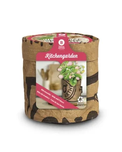 Baza Seeds Kitchengarden Walderdbeere weiß