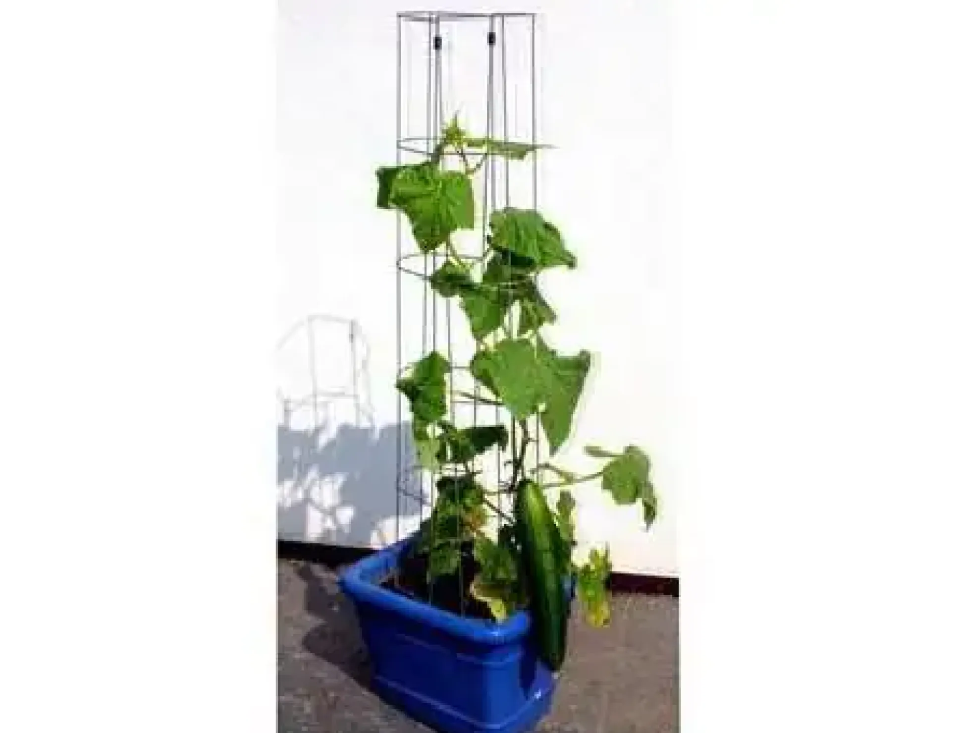 Bellissa Gurkenturm 120cm 120 cm hoch