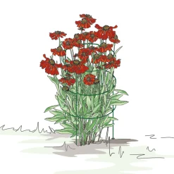 Bellissa Staudenstütze Falter 78 x 43,5 cm