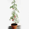Bellissa Tomatenturm 180cm 180 cm hoch