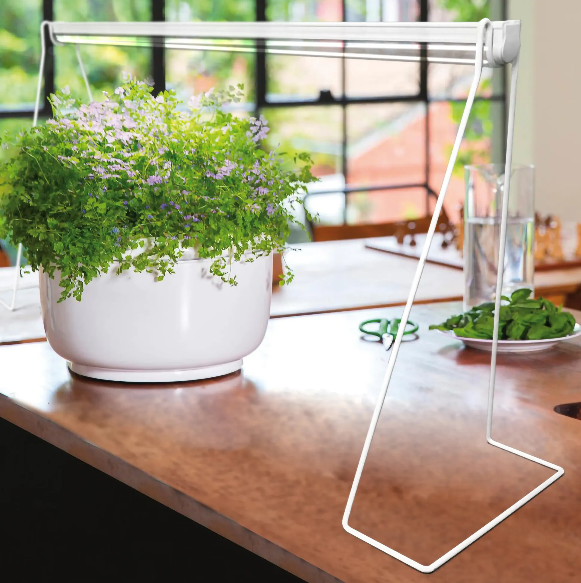 Bio Green Standfuss Florabooster 200 50 x 30 x 10 cm
