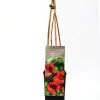 B&L Trompetenblume 40-60 cm hoch 2 L Eckcontainer, Kletterpflanze, rote Blüte