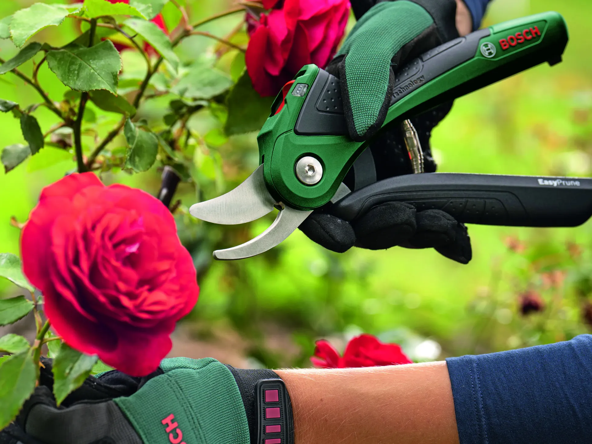 Bosch Akku-Gartenschere EasyPrune inkl. Ladekabel