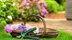 Bosch Akku-Gartenschere EasyPrune inkl. Ladekabel