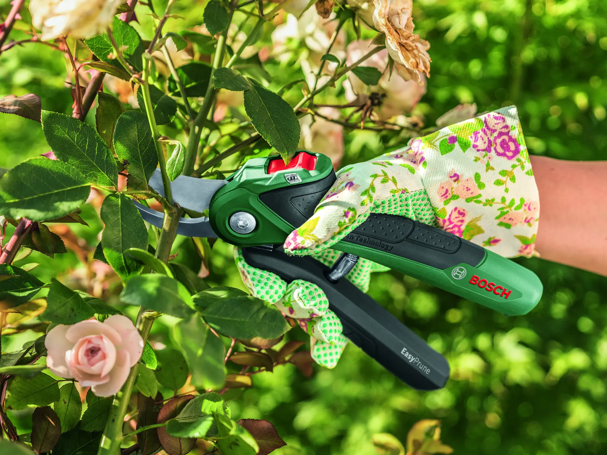 Bosch Akku-Gartenschere EasyPrune inkl. Ladekabel