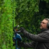 Bosch Professional Akku-Heckenschere GHE 18V-60 (II) Solo