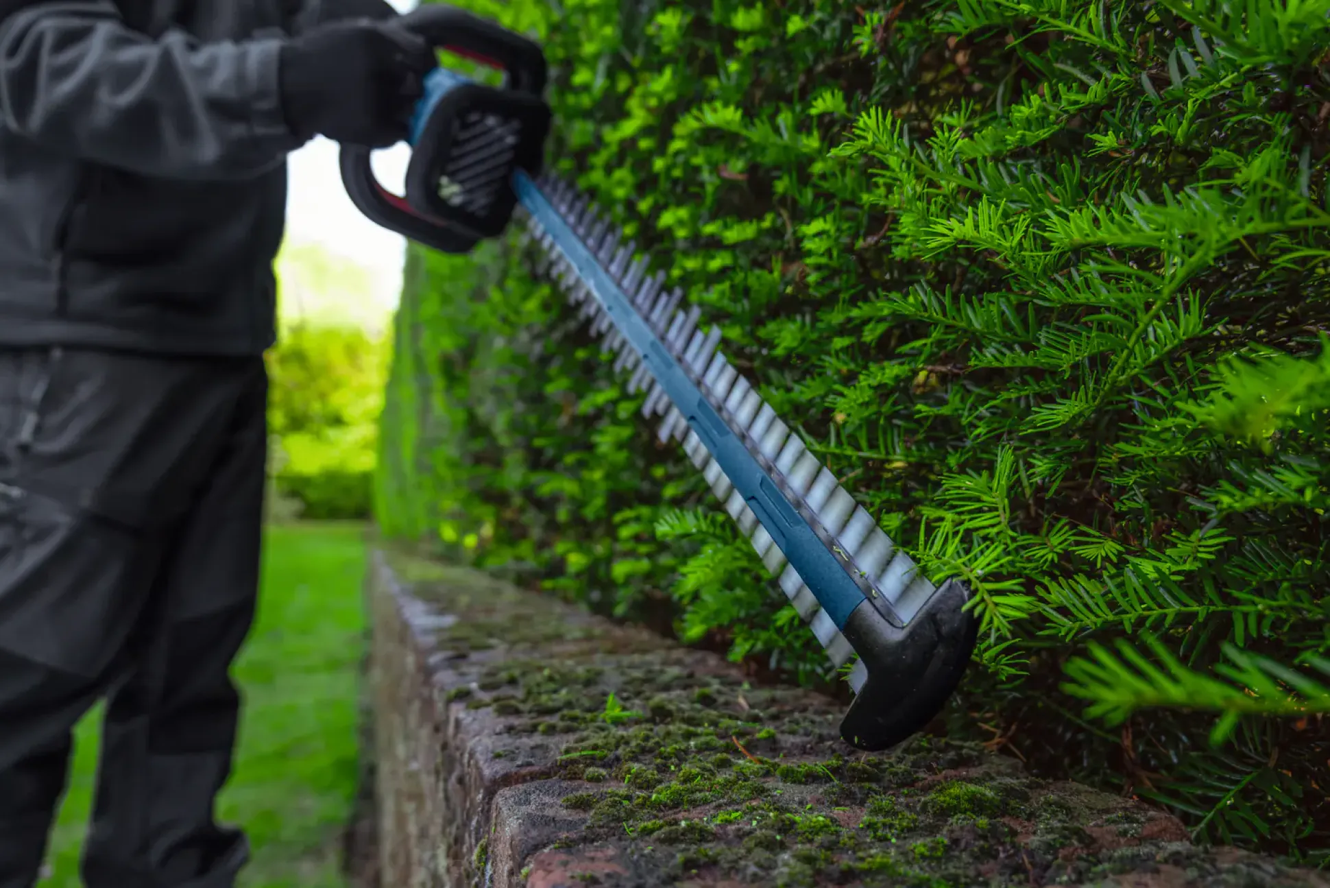 Bosch Professional Akku-Heckenschere GHE 18V-60 (II) Solo