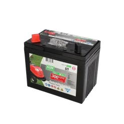 Cartec Rasenmäherbatterie 30Ah/300A +links