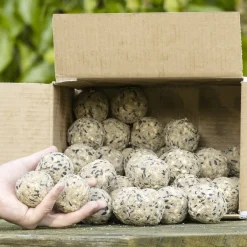 CJ Wildlife Vogelfutter Meisenknödel 50 Stück