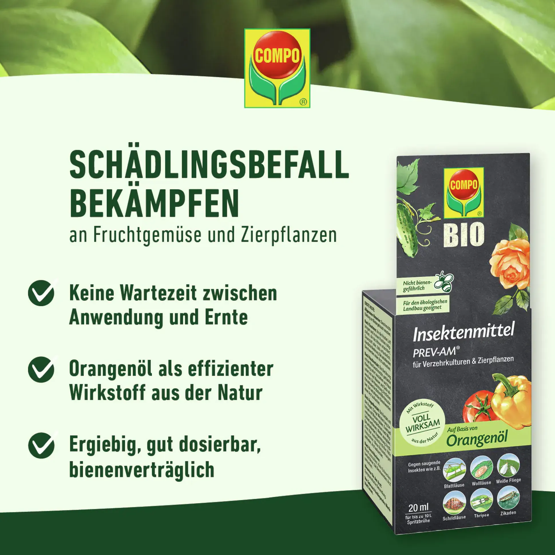Compo Insektenmittel Prev-Am 20 ml