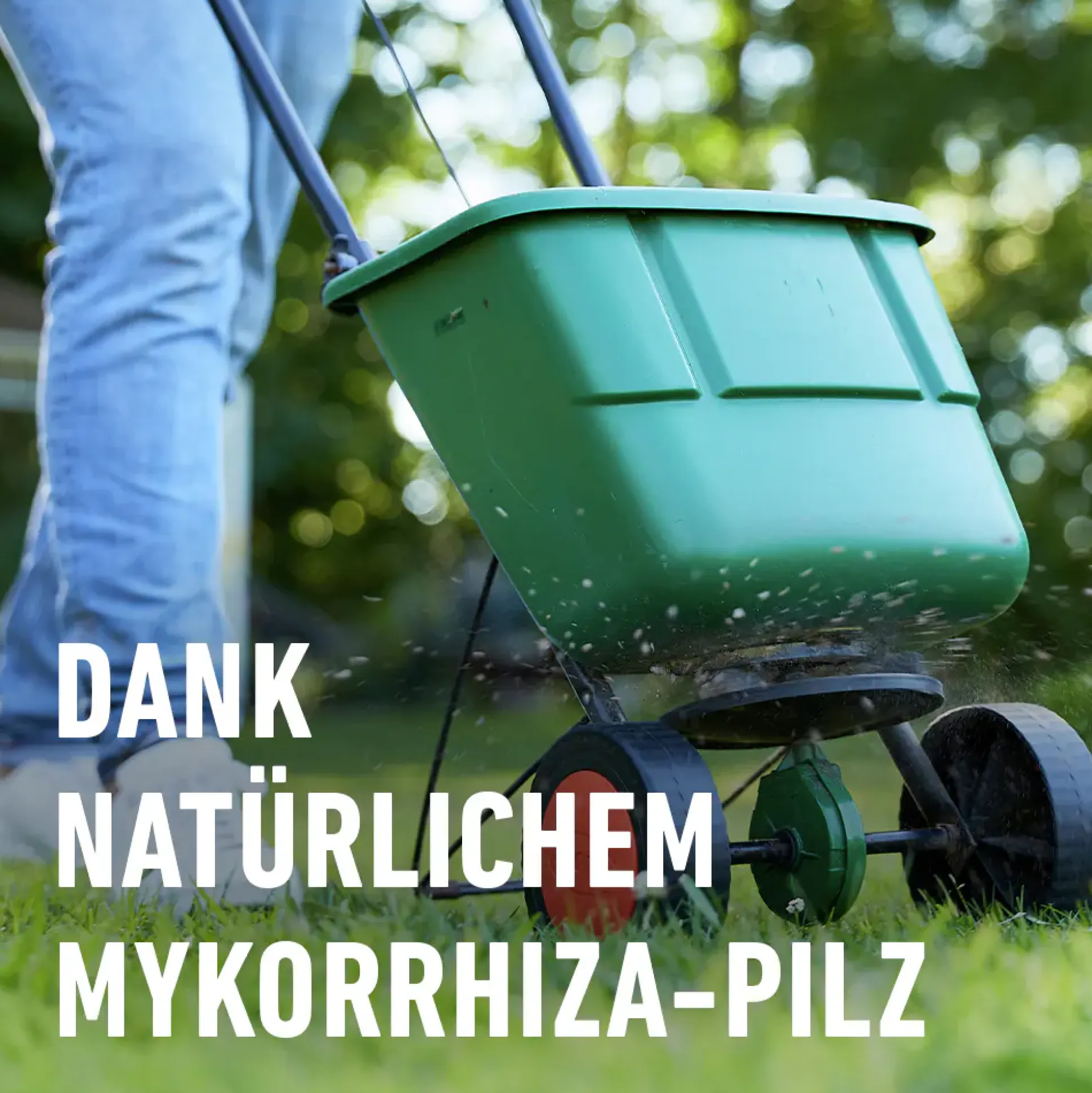 Compo Rasendünger Turbo 5 kg