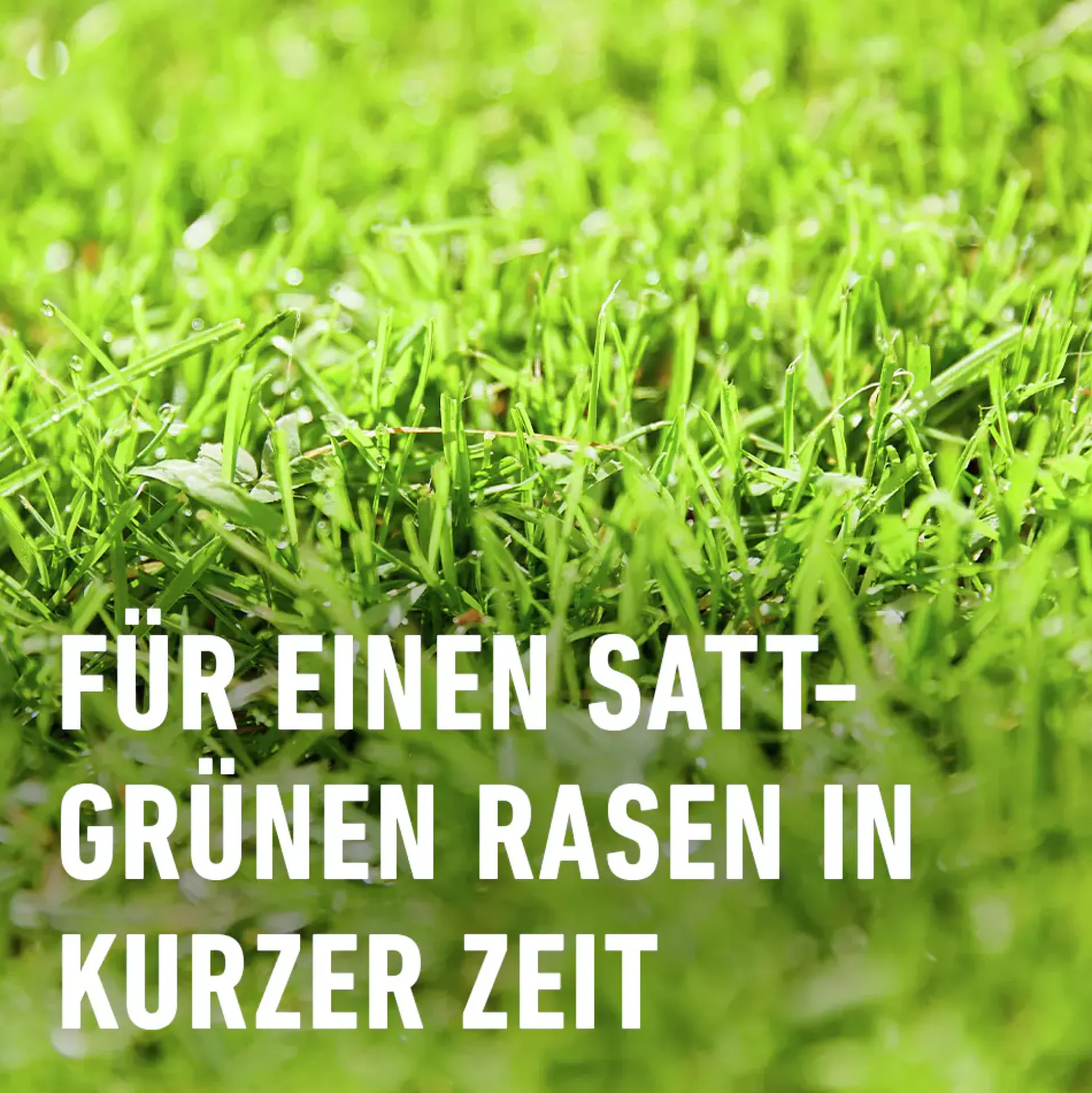 Compo Rasendünger Turbo 5 kg