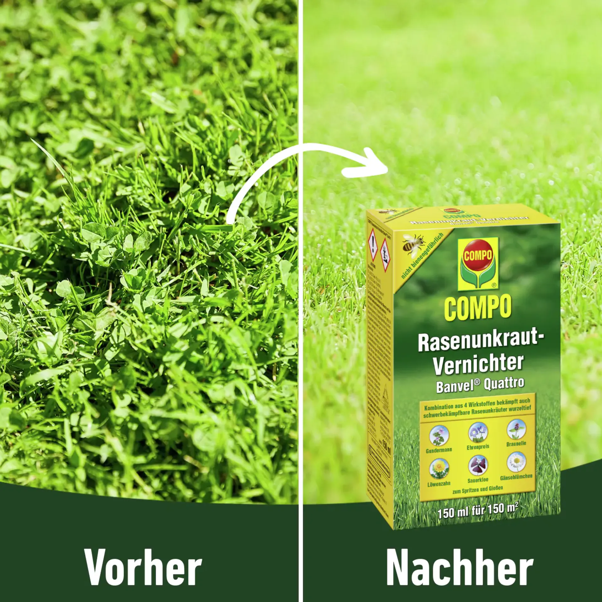 Compo Rasenunkrautvernichter Banvel Quattro 150 ml