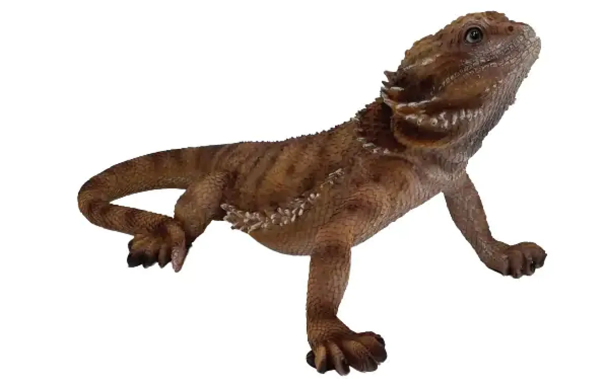 Dekofigur Bartagame 34 x 20 cm braun