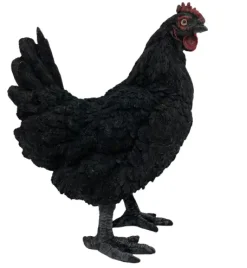 Dekofigur Henne schwarz 36 x 17 x 31 cm