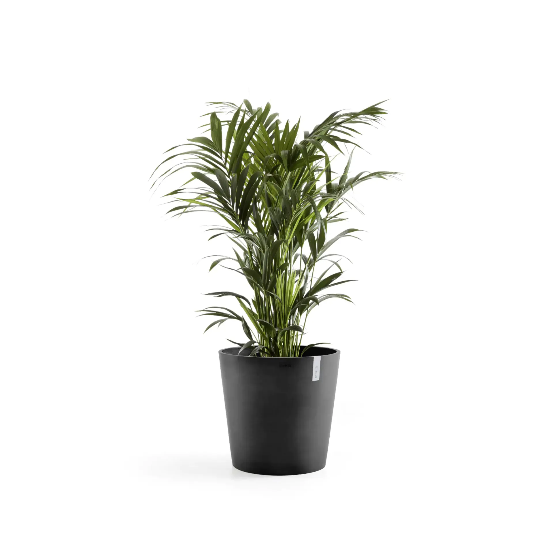 Ecopots Pflanztopf Amsterdam Ø 50 x 43,8 cm dunkelgrau