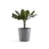 Ecopots Pflanztopf Amsterdam Ø 50 x 43,8 cm grau
