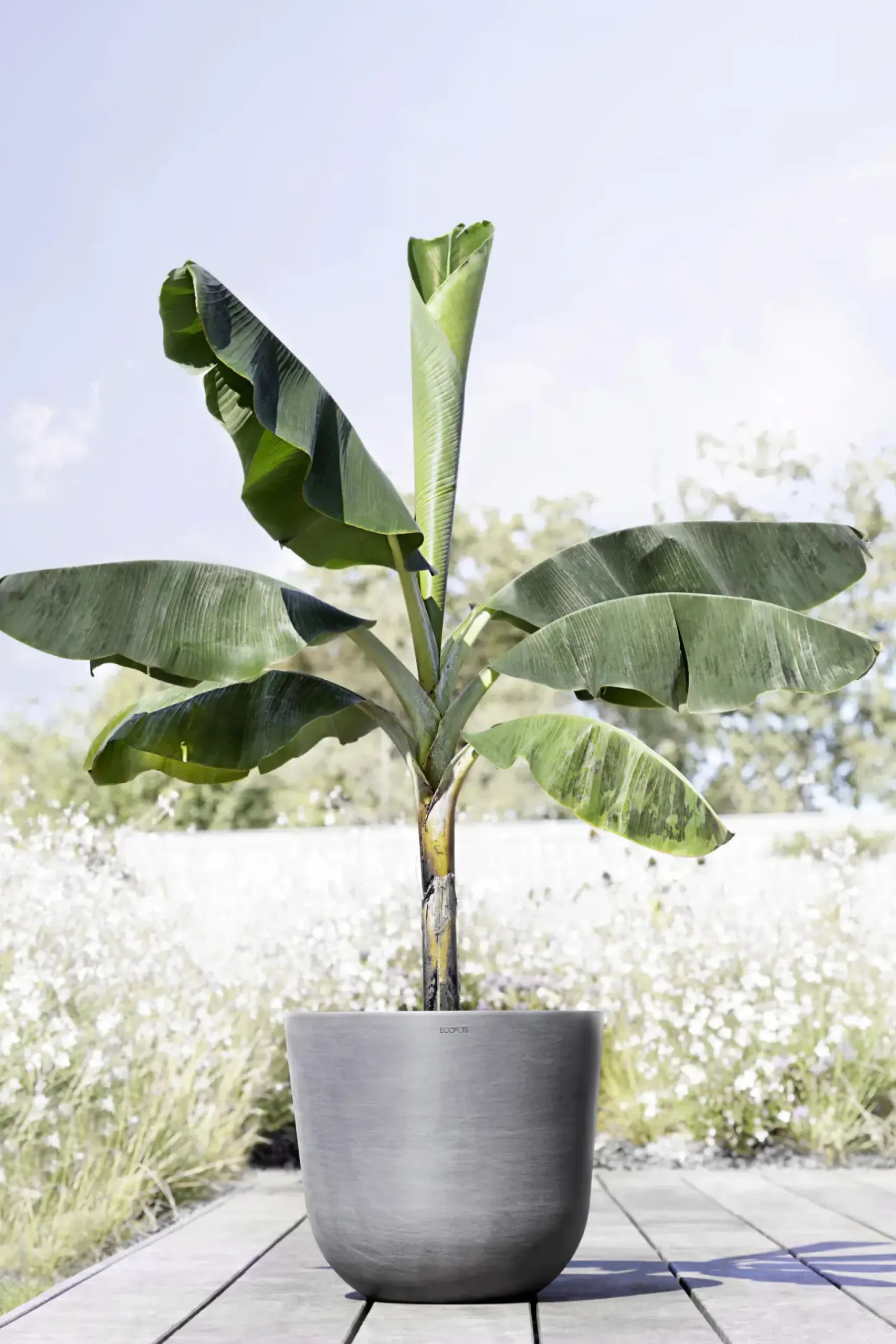 Ecopots Pflanztopf Oslo Ø 45 x 39,2 cm grau