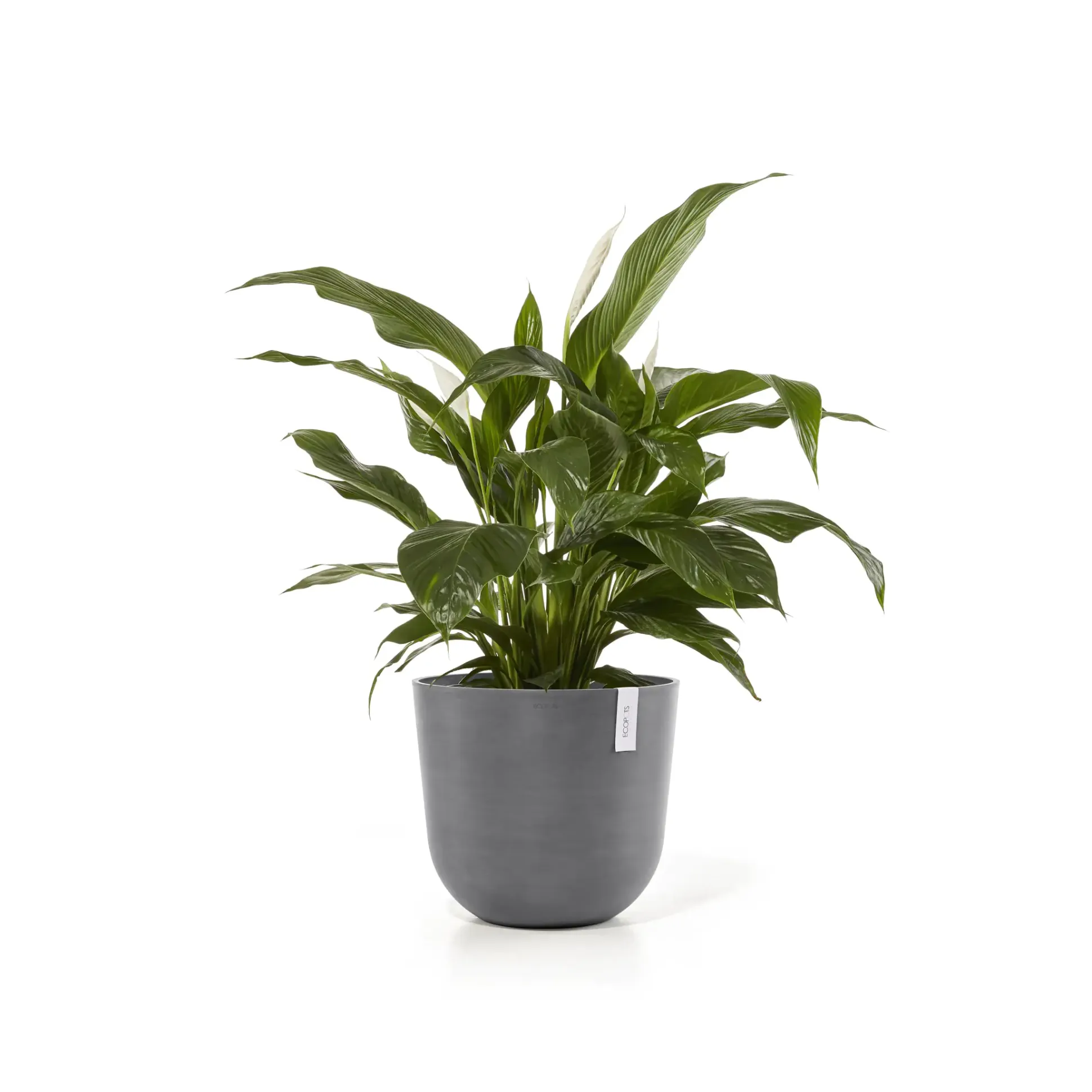 Ecopots Pflanztopf Oslo Ø 45 x 39,2 cm grau