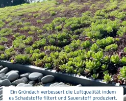 EcoStar Dachrahmen für Gründach Pultdach Typ 1 grau
