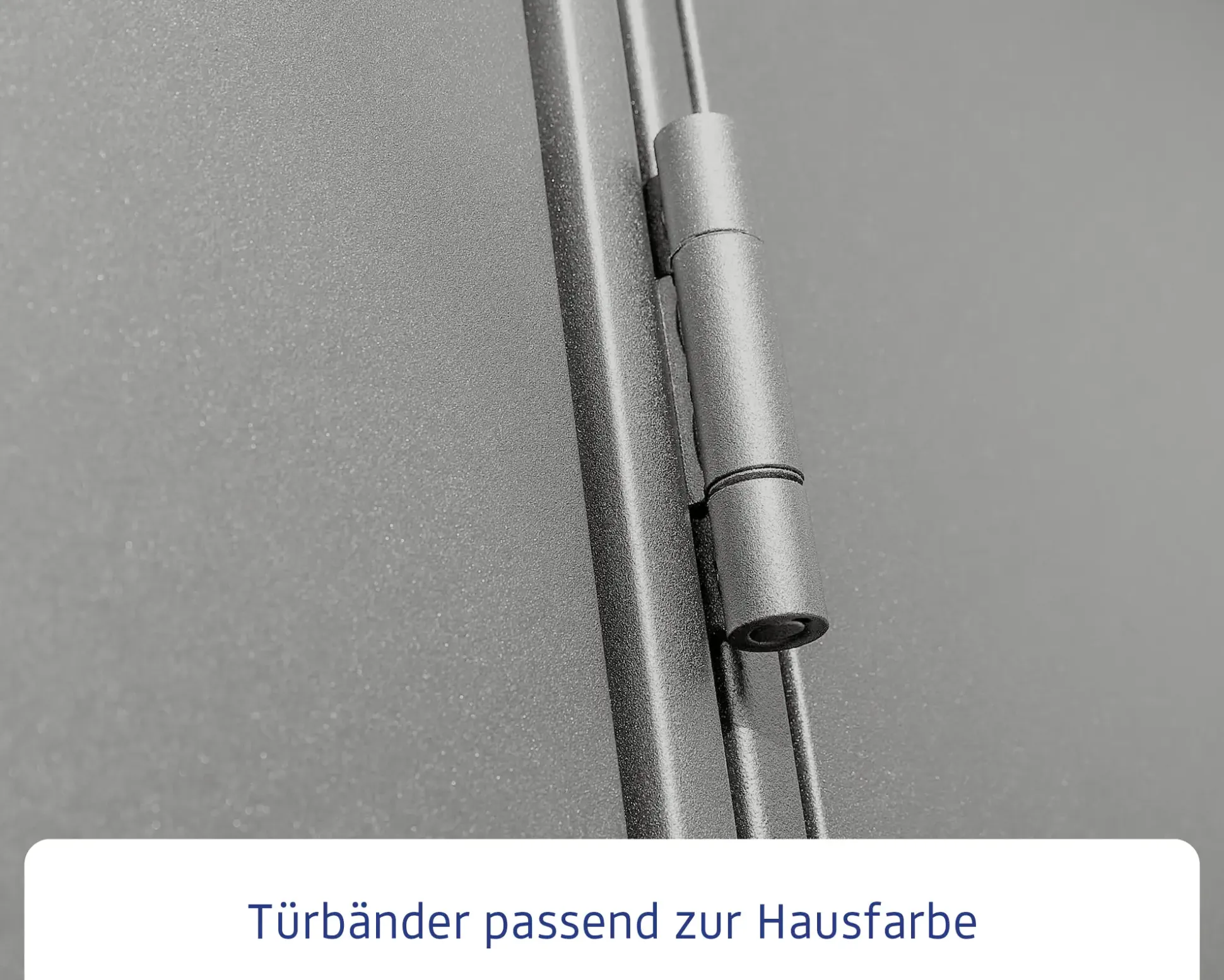 EcoStar Gerätehaus Elegant-S Typ 3 graualuminium 323,6 x 247,7 x 219,4 cm