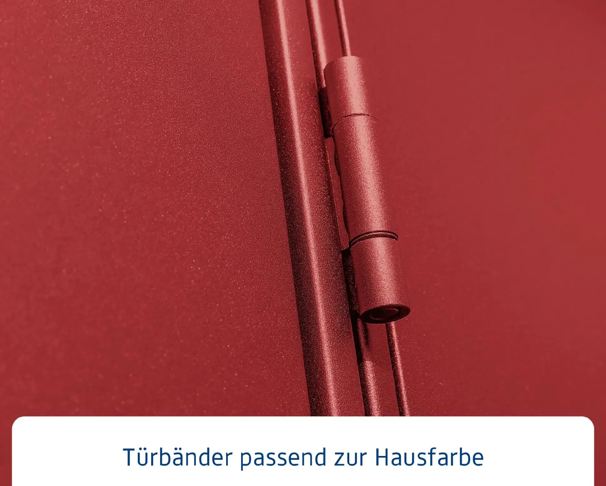 EcoStar Gerätehaus Elegant-P Typ 1 purpurrot 247,9 x 153 x 228,6 cm