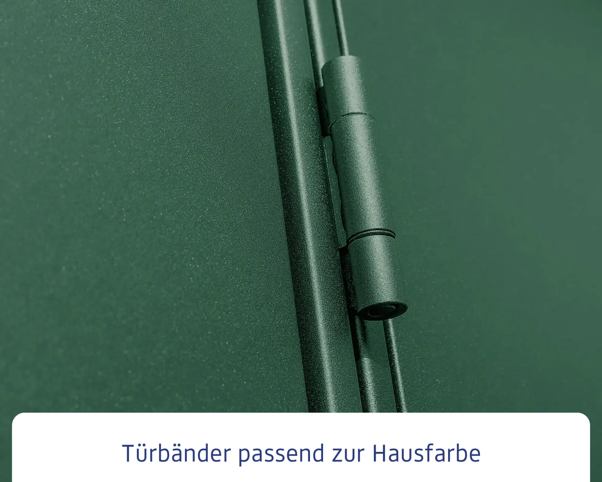 EcoStar Gerätehaus Elegant-P Typ 2 moosgrün 247,9 x 283,4 x 232,3 cm