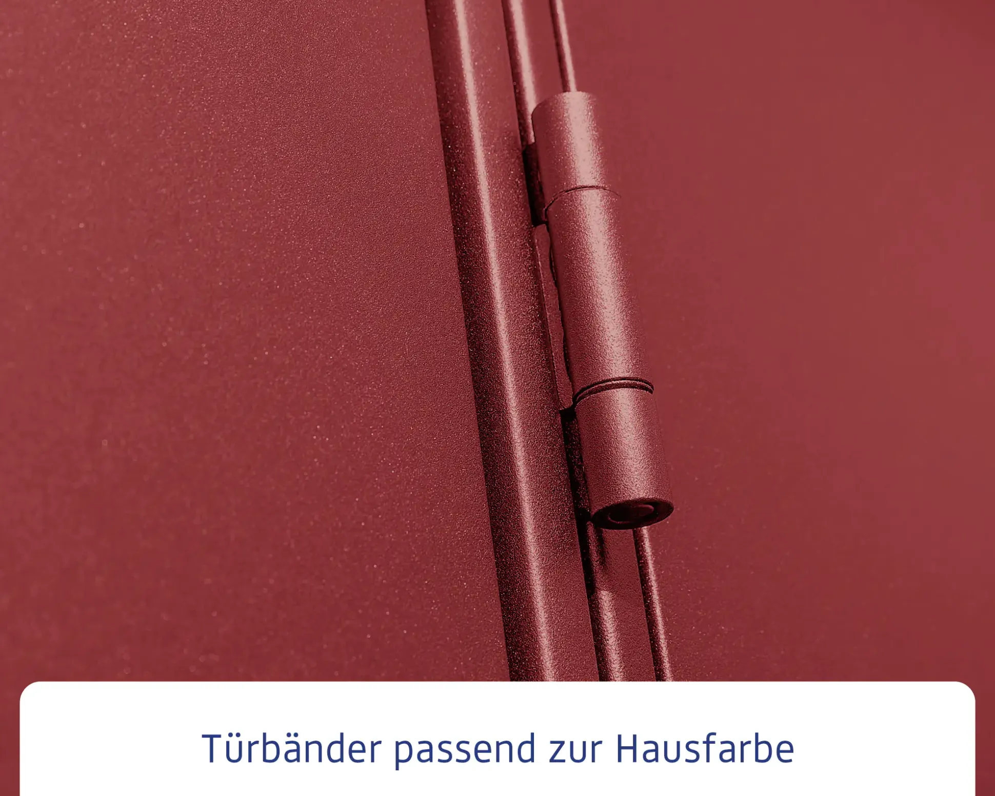 EcoStar Gerätehaus Elegant-S Typ 3 purpurrot 1 flg 323,6 x 247,7 x 219,4 cm