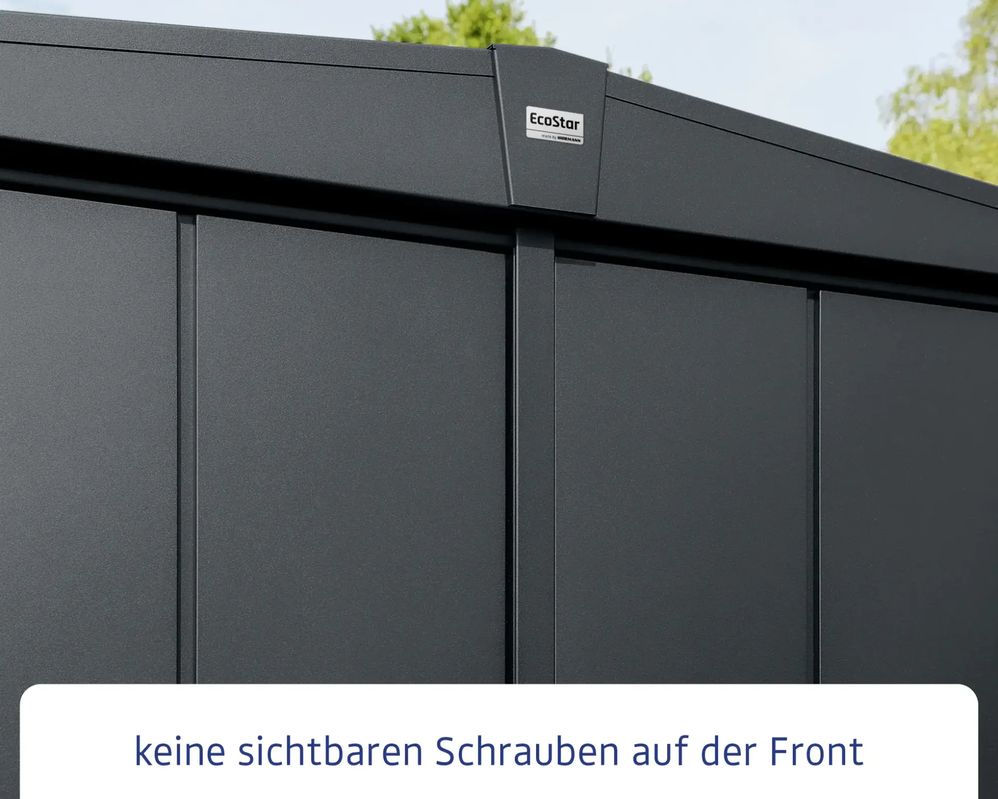 EcoStar Gerätehaus Elegant-S Typ 2 anthrazitgrau 1 flg 258,8 x 247,7 cm