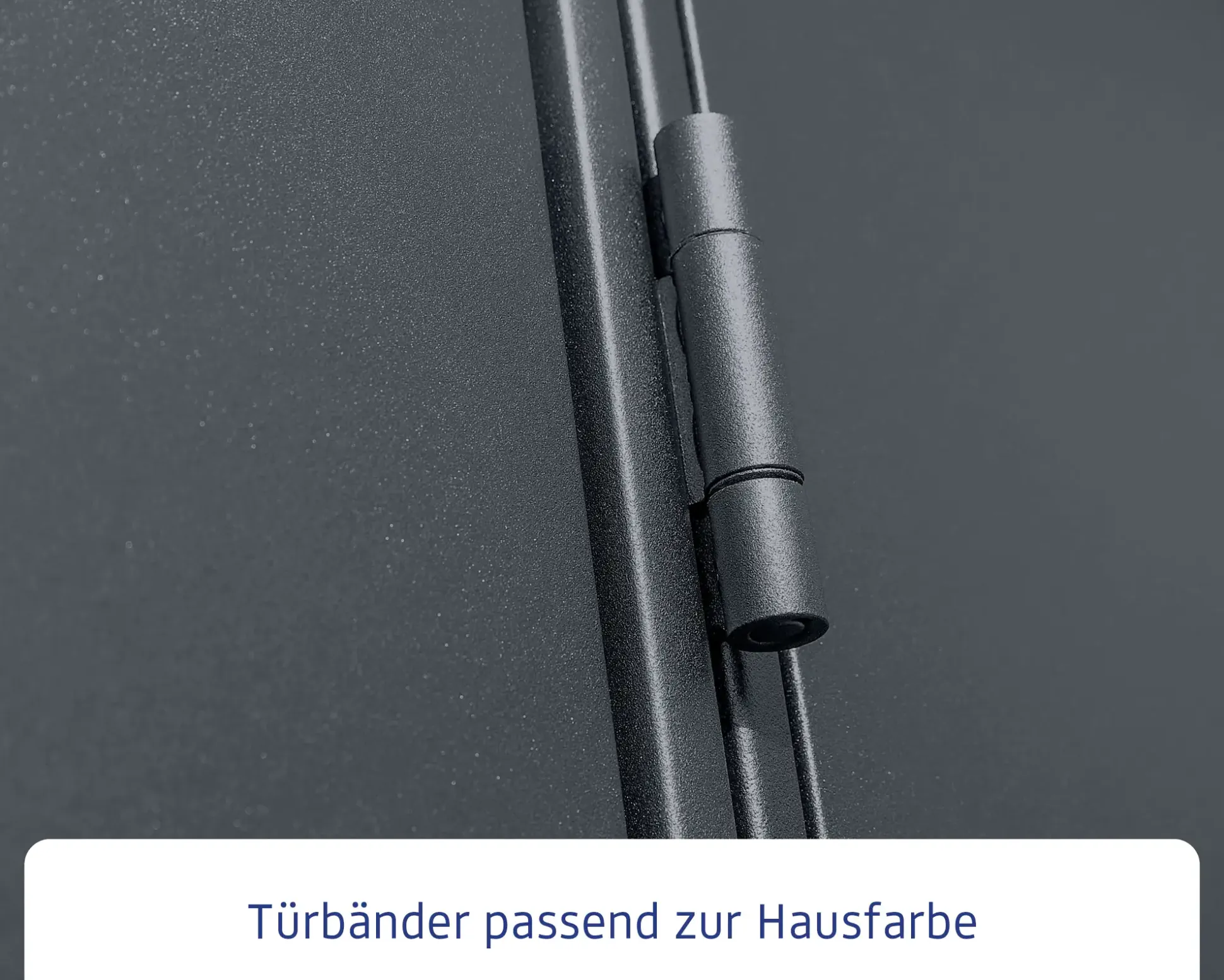 EcoStar Gerätehaus Elegant-S Typ 2 anthrazitgrau 1 flg 258,8 x 247,7 cm