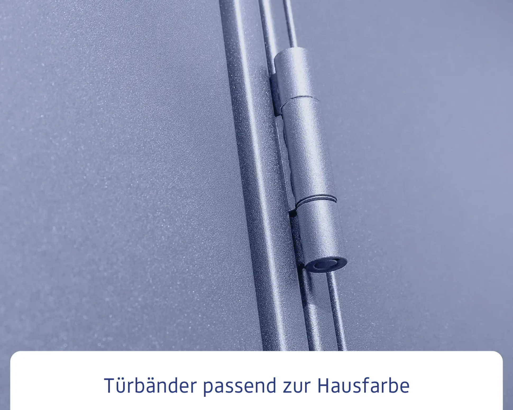 EcoStar Gerätehaus Elegant-P Typ 3 taubenblau 312,7 x 283,4 x 232,3 cm