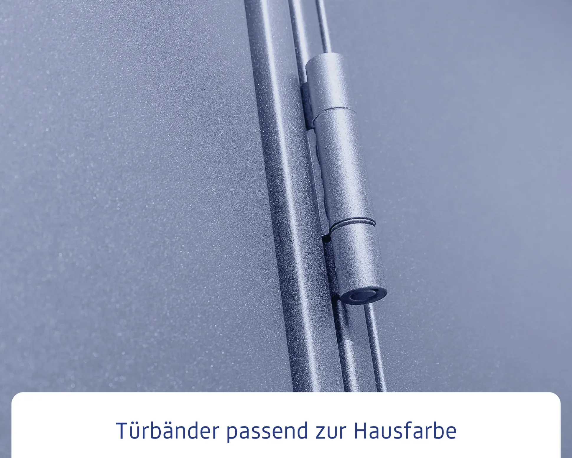 EcoStar Gerätehaus Elegant-S Typ 3 323,6 x 247,7 x 219,4 cm taubenblau