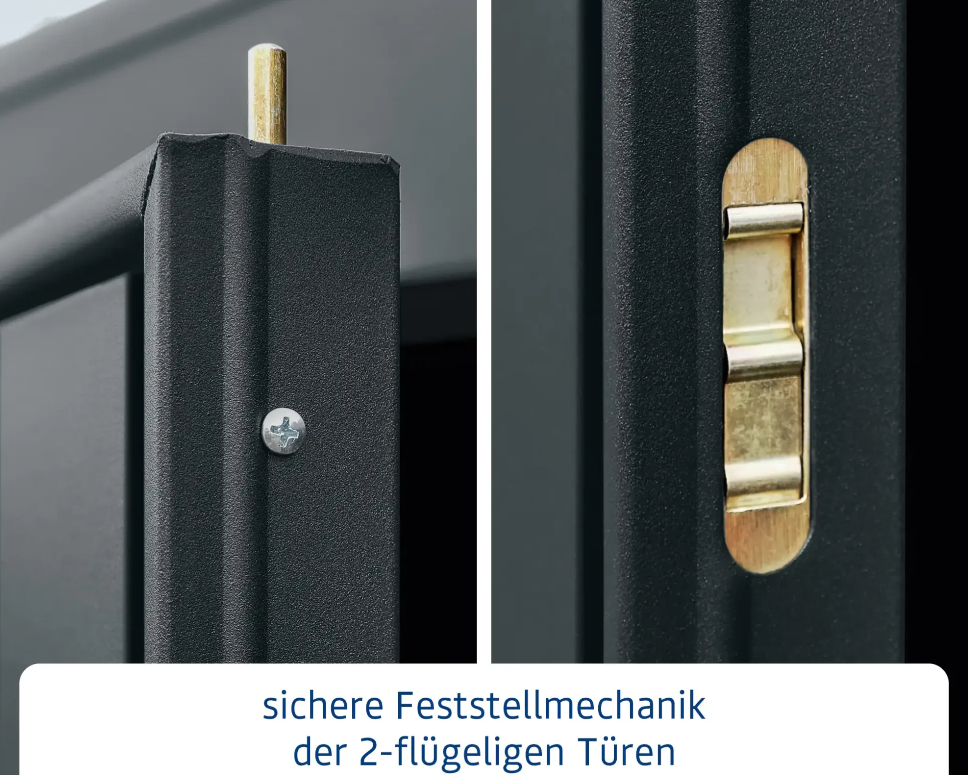 EcoStar Gerätehaus Trend-P Typ 2 anthrazitgrau 247,9 x 283,4 x 232,3 cm