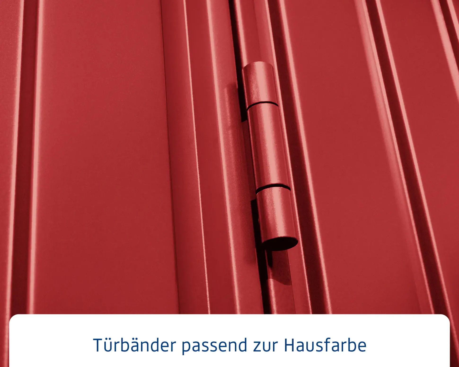 EcoStar Gerätehaus Trend-P Typ 3 purpurrot 312,7 x 283,4 x 232,3 cm