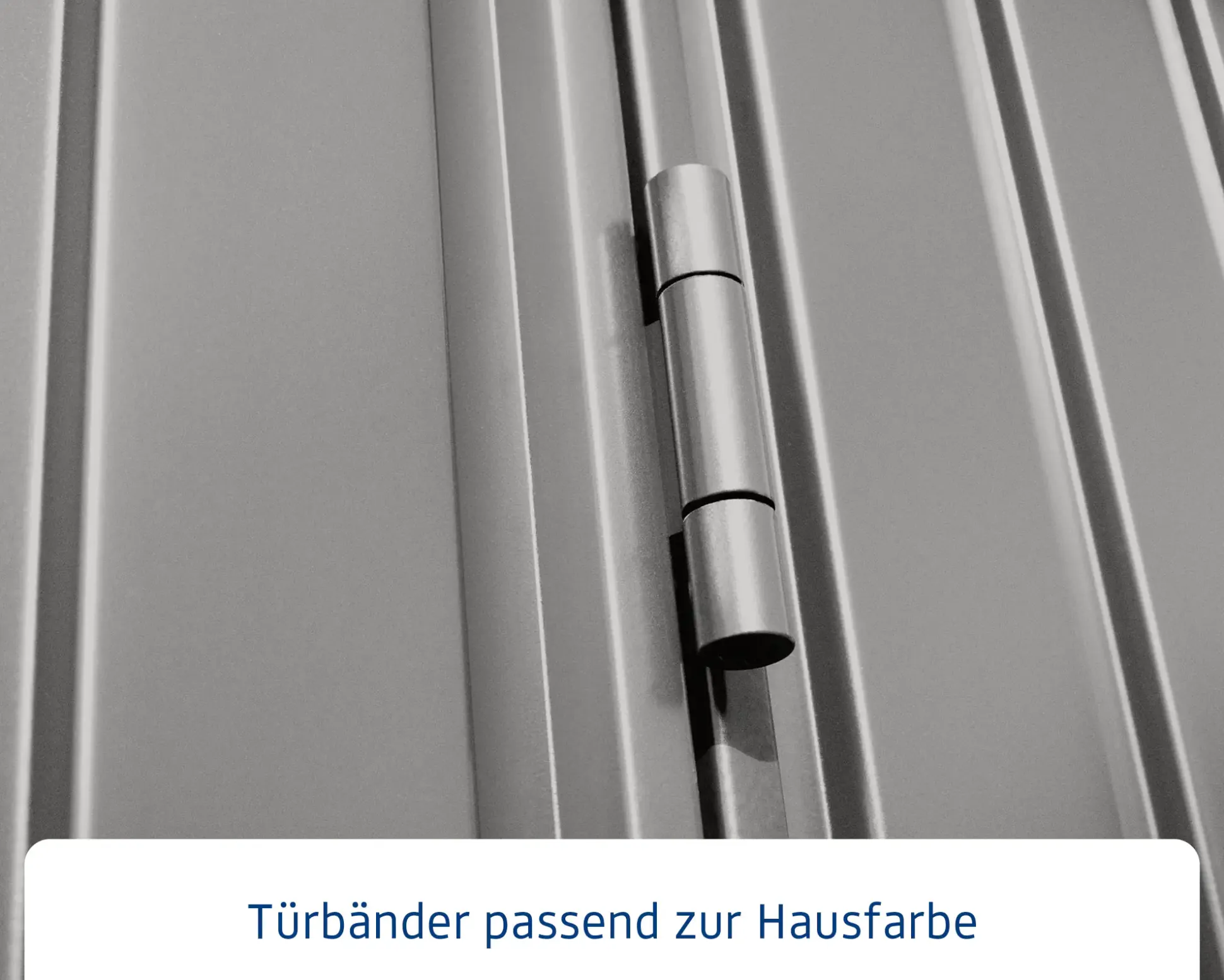 EcoStar Gerätehaus Trend-P Typ 3 graualuminium 312,7 x 283,4 x 232,3 cm